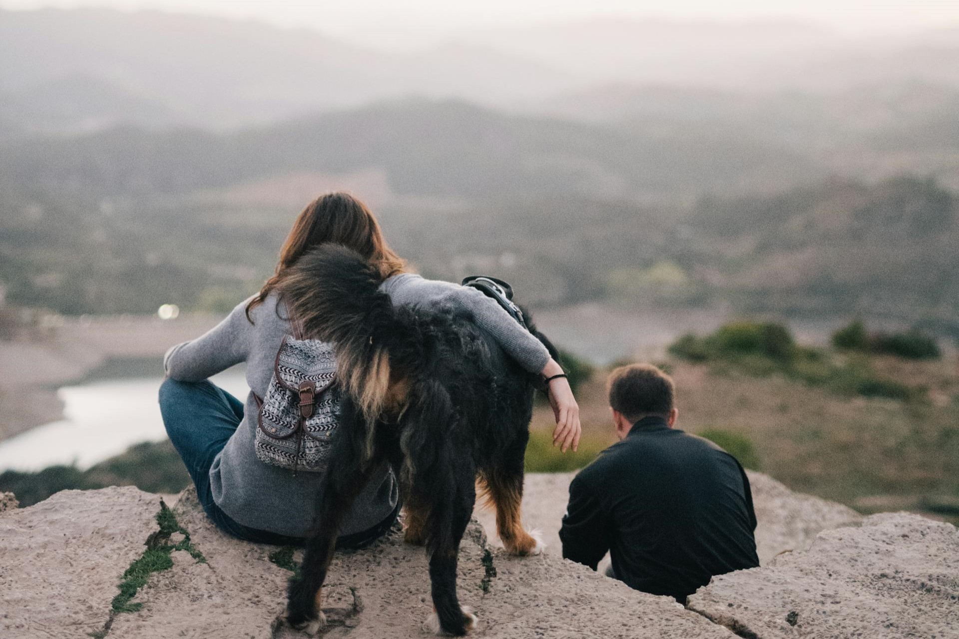 Conseils essentiels pour voyager avec votre chien